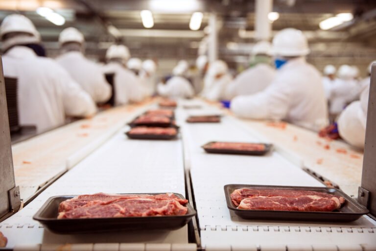 JBS Foods Reduces Migration Risk to SAP S/4HANA with Selective, Tiered Approach